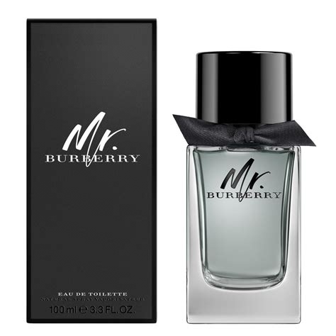 mr burberry formato piccolo|burberry cologne for men.